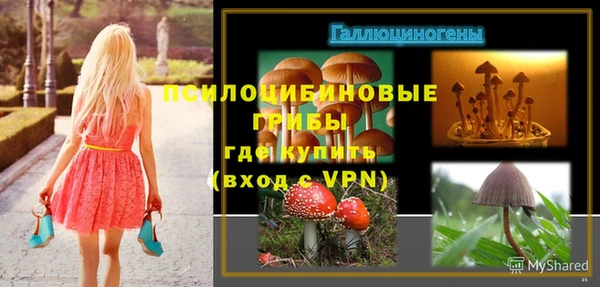 стафф Алексин